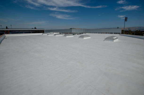 Best Skylight Installation and Repair  in Princeton, TX