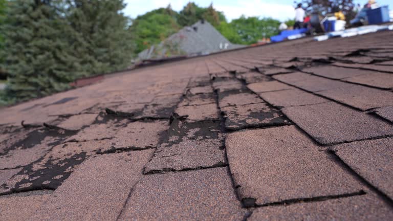 Princeton, TX Roofing Service Company