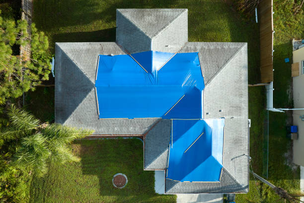 Best Roof Moss and Algae Removal  in Princeton, TX