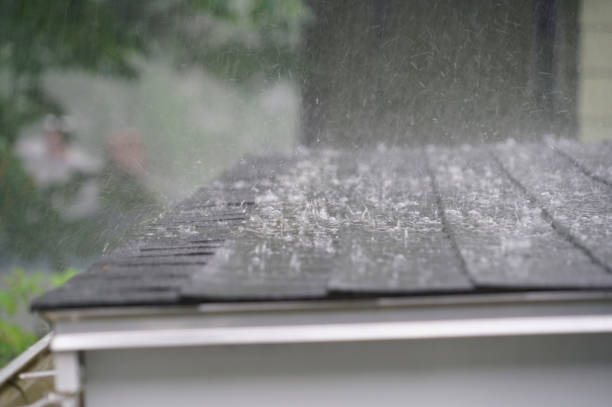 Best Gutter Installation and Repair  in Princeton, TX