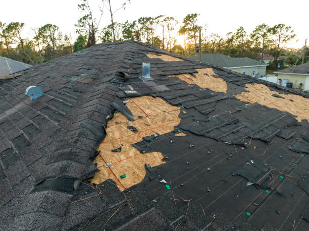 Best 4 Ply Roofing  in Princeton, TX