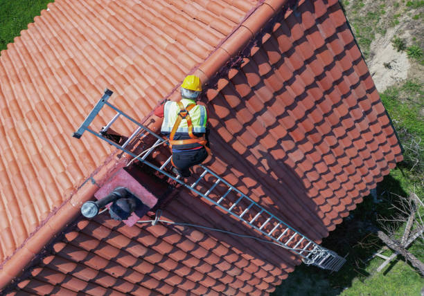 Best Solar Panel Roofing Installation  in Princeton, TX