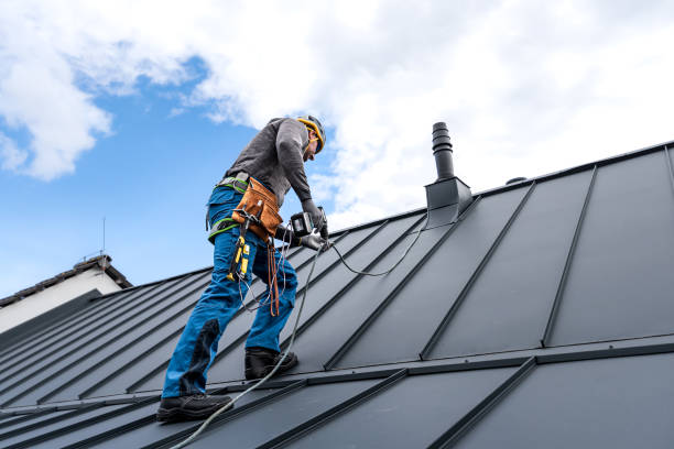 Best 4 Ply Roofing  in Princeton, TX